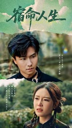 宿命人生高清播放