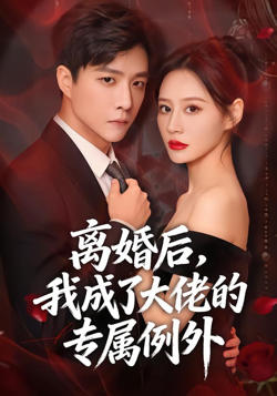 离婚后，我成了大佬的专属例外在线观看
