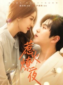 惹火燎夜在线观看