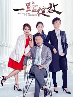 一路绽放高清播放