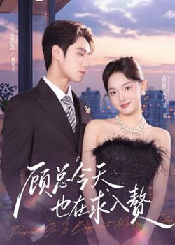 顾总今天也在求入赘在线观看