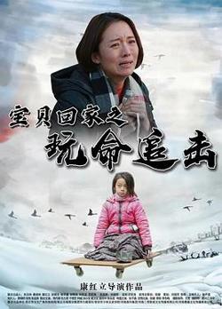 宝贝回家之玩命追击
