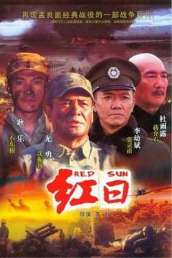 红日2008高清播放