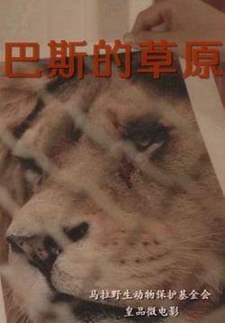 巴斯的草原在线观看