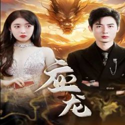 应龙在线观看