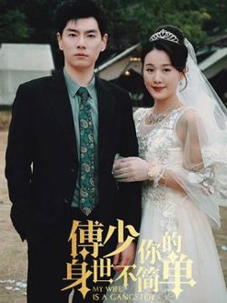 傅少你的身世不简单高清播放