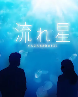 流星在线观看