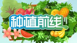 种植前线2026高清播放