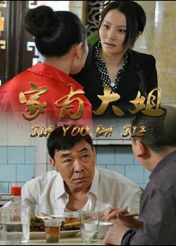 家有大姐高清播放