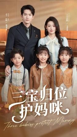 三宝归位护妈咪高清播放