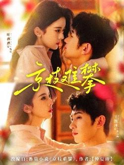 京枝难攀在线观看