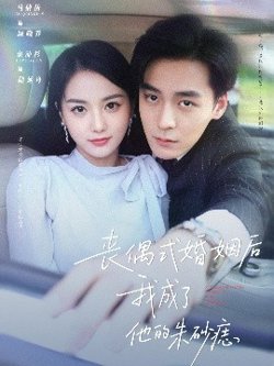 丧偶式婚姻后我成了他的朱砂痣在线观看
