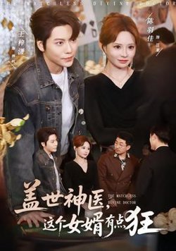 盖世神医，这个女婿有点狂高清播放