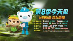 海底小纵队第八季高清播放
