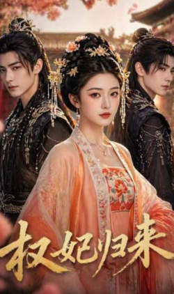 权妃归来