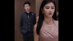 罪妻难追：刚出院，顾总下跪认错在线观看