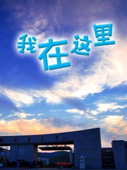 我在这里高清播放