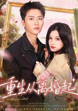 重生从离婚起高清播放