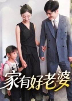 家有好老婆高清播放