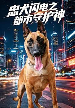 忠犬闪电之都市守护神高清播放