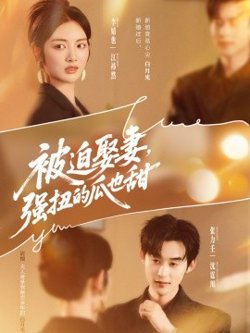 被迫娶妻，强扭的瓜也甜在线观看