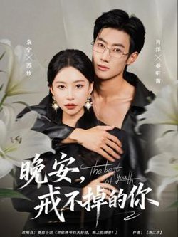 晚安，戒不掉的你高清播放