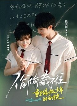 偷偷藏不住重生偏执少年的白月光高清播放