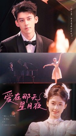 爱在那天星月夜高清播放