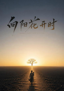 向阳花开时