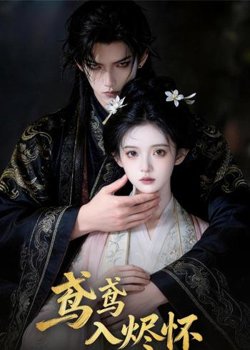 鸢鸢入烬怀在线观看