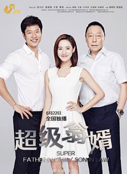 超级翁婿高清播放