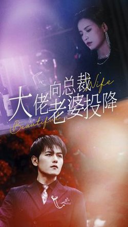大佬向总裁老婆投降了高清播放