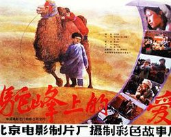 驼峰上的爱在线观看