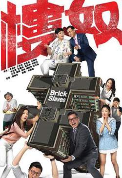 楼奴国语高清播放
