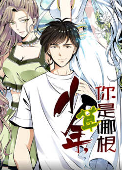 少年，你是哪根草 动态漫画高清播放