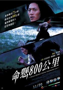 命悬800公里在线观看