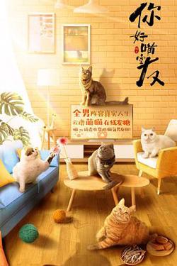 你好喵室友高清播放