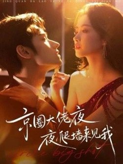 京圈大佬夜夜爬墙来见我，吻上瘾，顾总他破防了