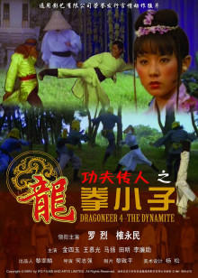 功夫传人之龙拳小子在线观看
