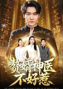 赘婿神医不好惹在线观看