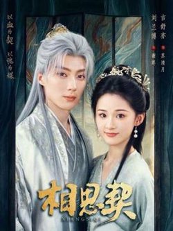 相思契高清播放