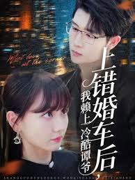 上错婚车后我赖上冷酷谭爷高清播放