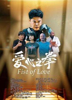 爱心之拳高清播放