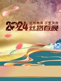 2024陕西丝路春晚高清播放