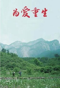 为爱重生高清播放