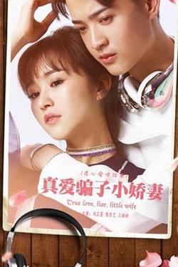 真爱骗子小娇妻高清播放