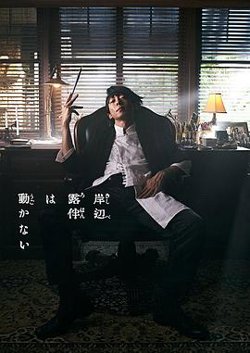 岸边露伴一动不动 真人剧高清播放