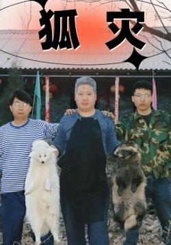 狐灾在线观看