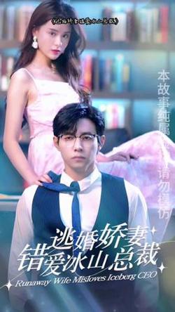 逃婚娇妻错爱冰山总裁高清播放
