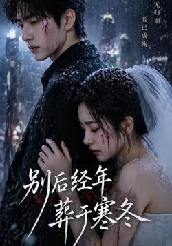 别后经年，葬于寒冬在线观看